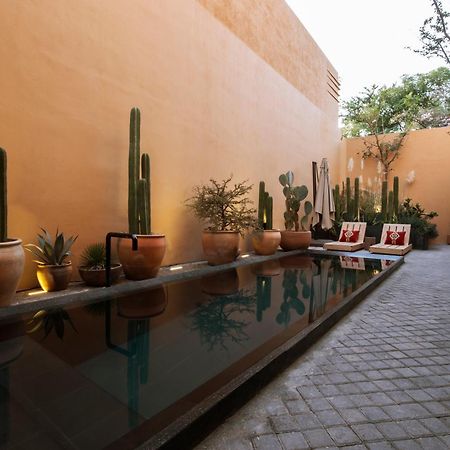 Macondo Arte Oaxaca Exterior photo