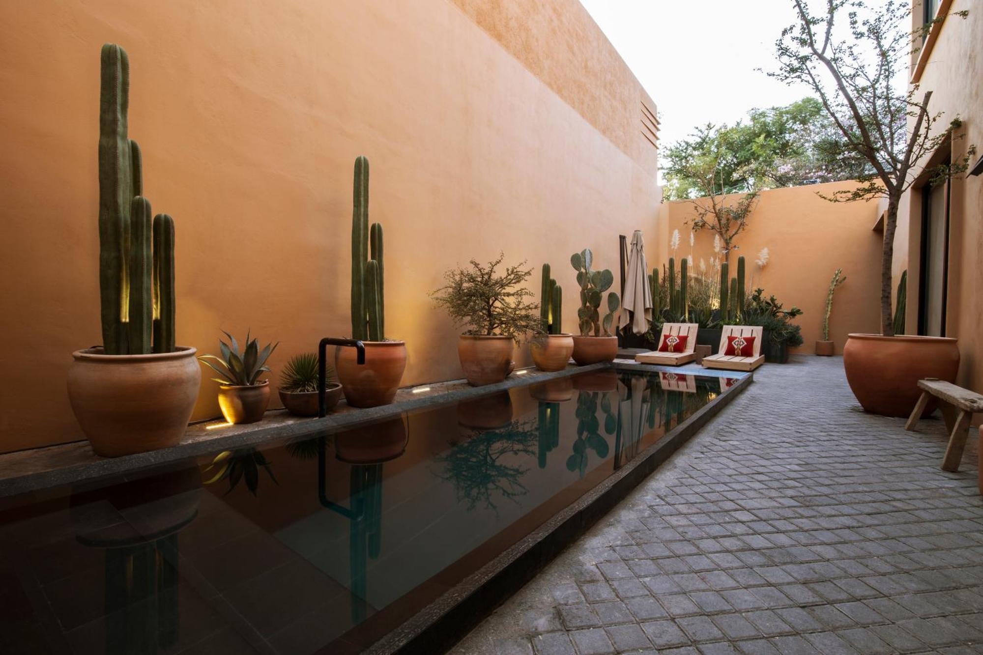 Macondo Arte Oaxaca Exterior photo