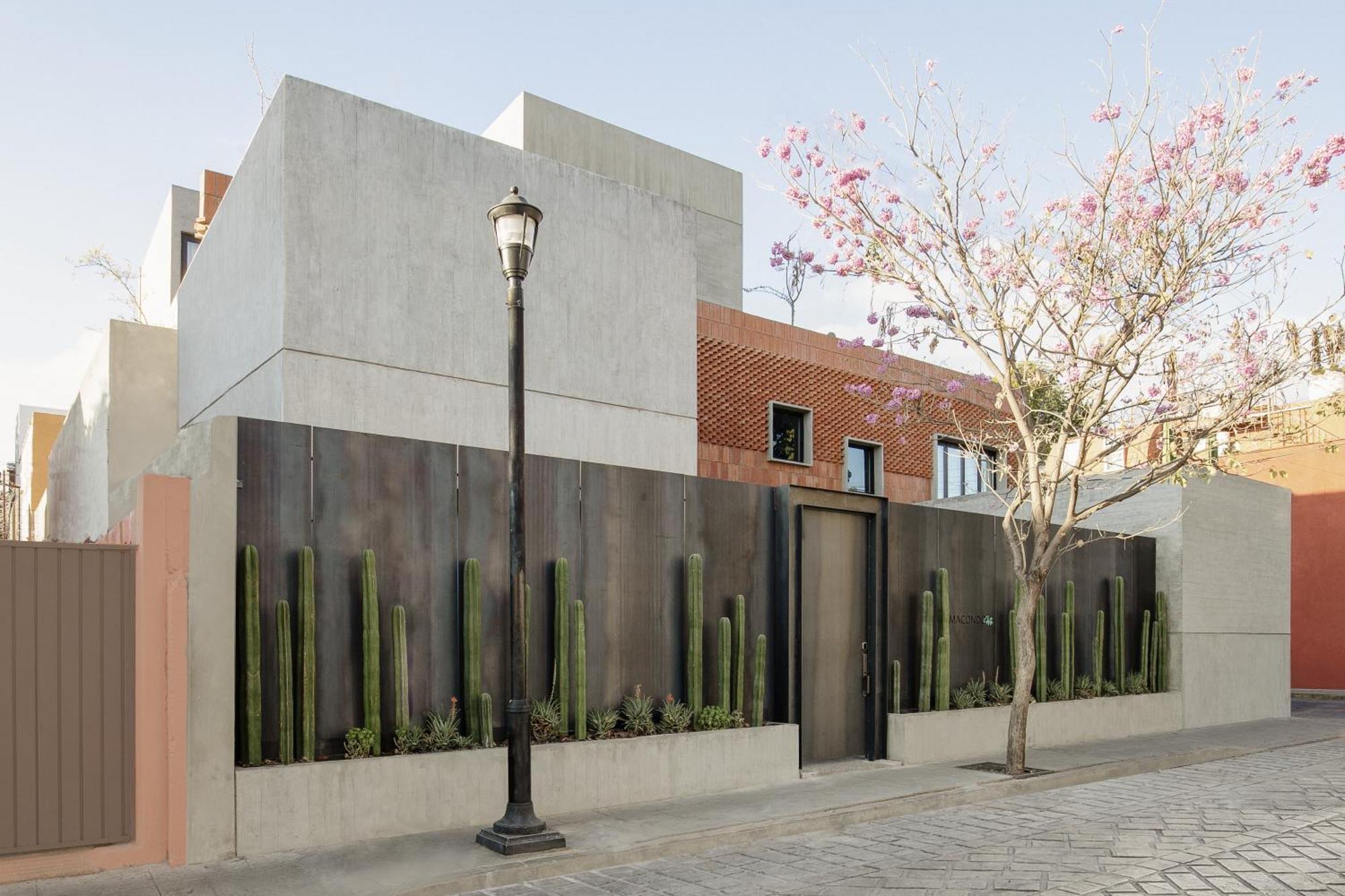 Macondo Arte Oaxaca Exterior photo