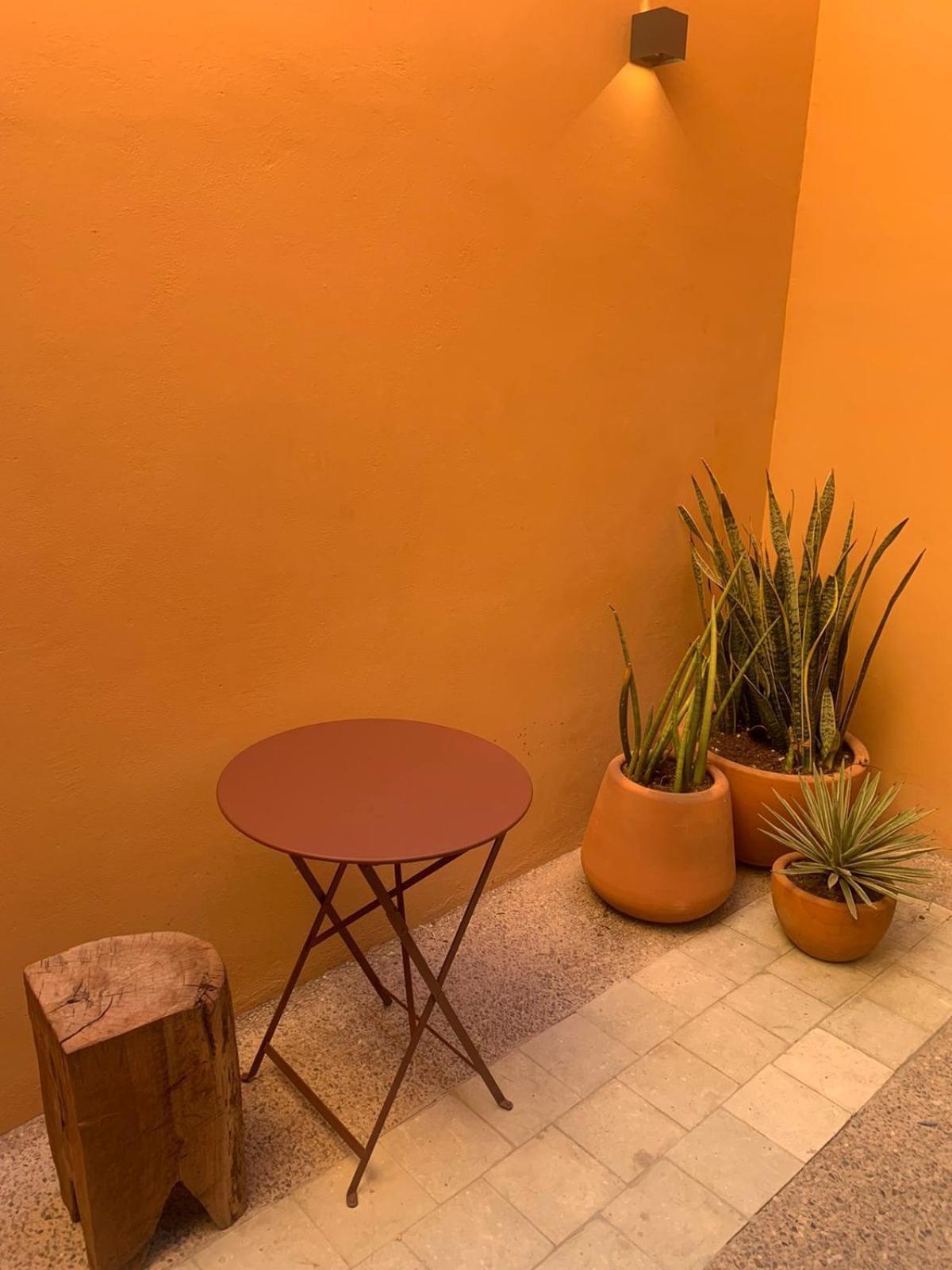 Macondo Arte Oaxaca Exterior photo